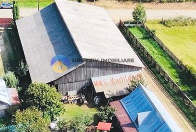 CASA + HALĂ  comuna ALEXANDRU cel BUN - 9