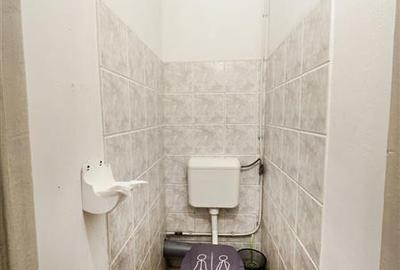 Spatiu comercial-productie de inchiriat Bd Magheru - 10