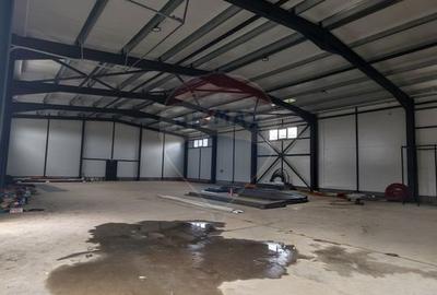 Hală 600 mp, ideală pentru logistică și distribuție zona Aeroportului - 8