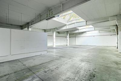 Hală de depozitare si productie 420 mp - 3
