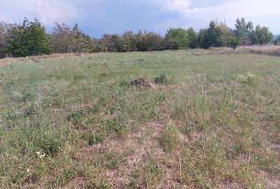 Teren Construcții intravilan de 1100 mp, în 1 Mai