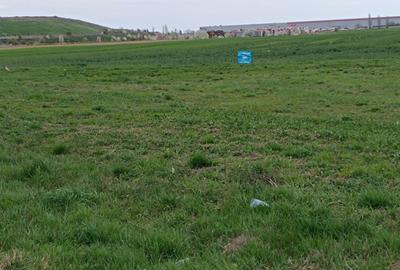 Teren intravilan 35.000 mp – Șag - 6