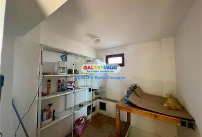 Vanzare casa 5 camere, P+M, 1600 mp teren, Strejnicu, Prahova - 16