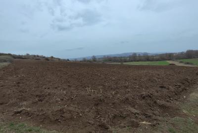 Teren Intravilan 9.700 mp| zona Pârâu lui Mihai - 1