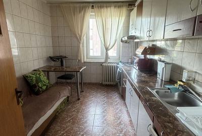 Vanzare/inchiriere apartament 2 camere Gorjului/Valea-Lunga - 4