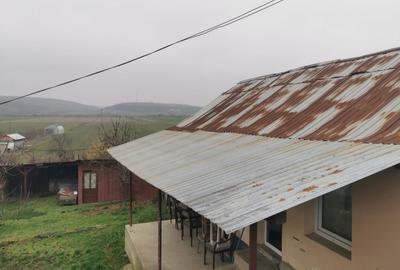 De vanzare casa in Argetoaia cu teren 7.000 mp - 2