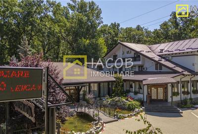 Popas Dumbravita, DN23 Focsani - Galati/Braila - 6