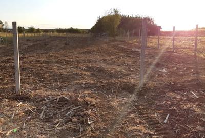 Teren Construcții intravilan de 980 mp, în Corbeanca - 6