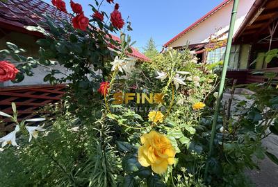 5 Camere Tunari Teleorman | Centrală termică | Grădina cu pomi fructiferi - 12