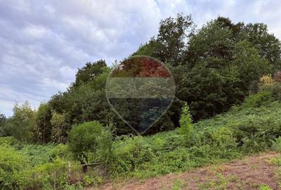 De vânzare teren intravilan 3,690mp Suncuius - 1