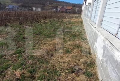 Teren Construcții intravilan de 1000 mp, în Viișoara