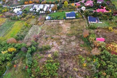 De vanzare teren intravilan 8,000 mp Garlenii de Sus / Bacau - 6