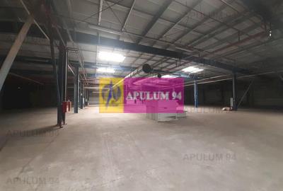 Spatiu Logistic langa Bucuresti Hala 5000 mp - 60