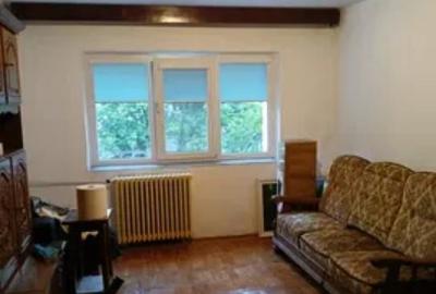 Apartament  de vanzare 2 camere zona Paltinis