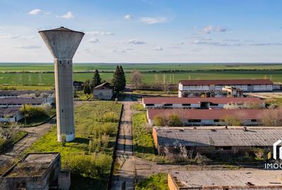 De vanzare Complex Zootehnic Suine Jud. Arad SU 15.30ha, Ferma, Grajd - 7