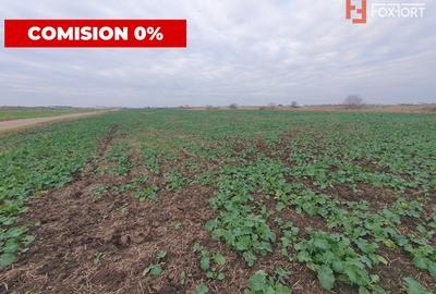 Comision 0% Teren extravilan agricol 21,32 ha sau intravilan cu PUZ aprobat - 10