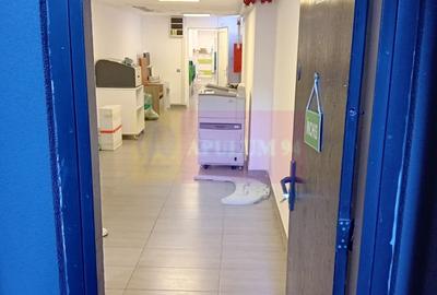 Spațiu Demisol 106 mp | Intrare Separată + Toate Utilitățile Incluse - 8