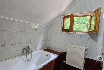 CASA DE VACANTA + TEREN PROPRIETATE IN STATIUNEA MONTANA SLANIC MOLDOVA - 37
