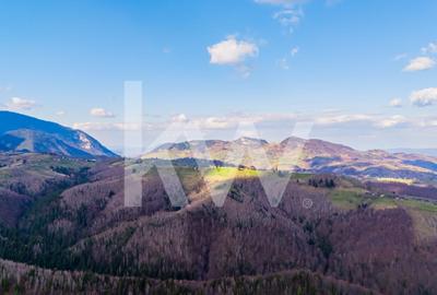 Teren de vanzare Sirnea- Comision 0% - 10