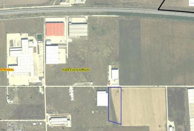 Teren Bolintin Deal - 1