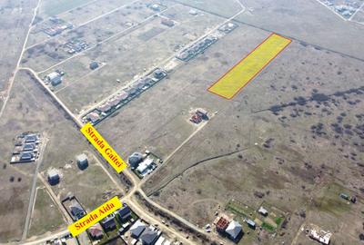 Terenuri de vanzare Mosnita, cu utilitati - 70 euro/mp+TVA - 7