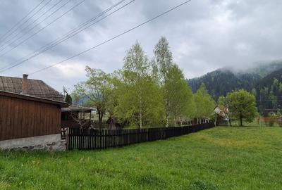 Cabana Lunca Bradului- 1200 mp teren - 8