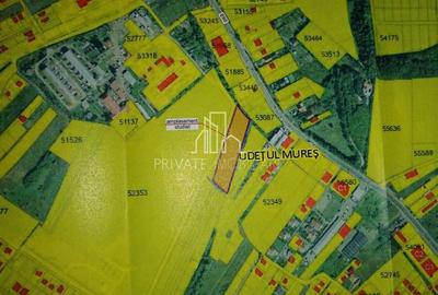 Teren 5 300 Mp Intravilan De Vanzare, Str Bujorului, Corunca - 5