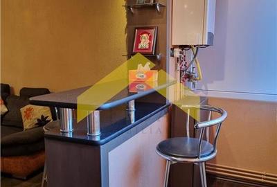 Apartament de inchiriat Aradul Nou - 13