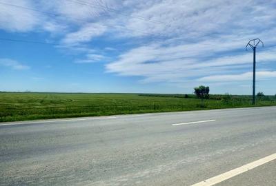 De vânzare Teren DN6 | vis a vis de Restaurantul YUKSEL | Mihăilești - 2