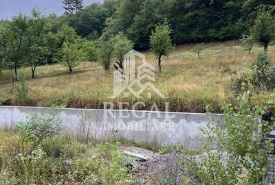 Proprietate cu potențial, într-un cadru natural de vis – 3581 mp teren - 2