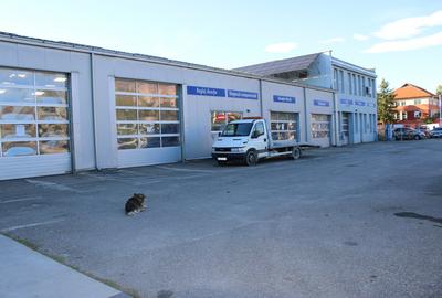 Service Auto Modern și Eficient Energetic în Targu Jiu - 9