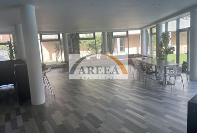 Apartament 3 camere complet mobilat cu loc de parcare inclus Iancu Nic - 30