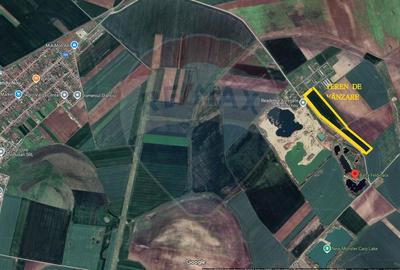 Teren de vânzare 113,931 mp, pretabil balastieră în Zimandu Nou - 2