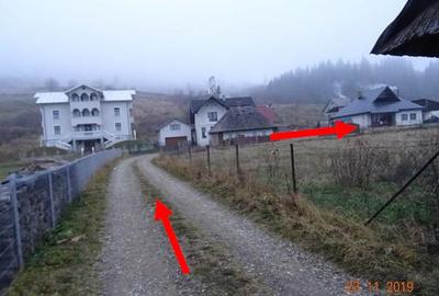 Teren intravilan 1.000 mp + hala debitare si hala prelucrare lemn