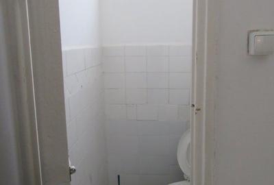Inchiriere spatiu comercial Teiul Doamnei - 24