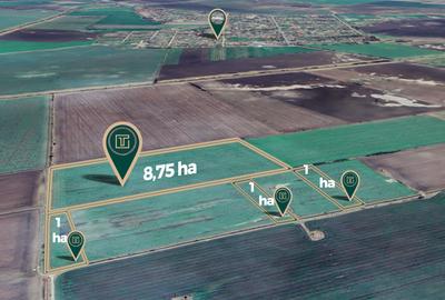 Teren agricol de 11,75 ha de vânzare, la 1,5 km de Turnu, jud. Arad - 1