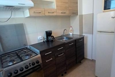 Închiriere Garsonieră Dristor, renovată, mobilată, etaj 5, lângă Kaufland - 7