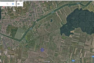 Teren Mosnita numar cadastral Cc74/1/1/48 intravilan - 1