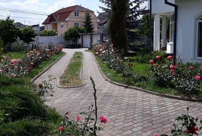 Vand casa lux,tip vila,Sangeorgiu de Mures,zona Apollo ,teren generos de 2200 mp - 8