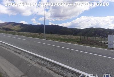 Teren Intravilan(3000mp), Novaci - Ranca - 6