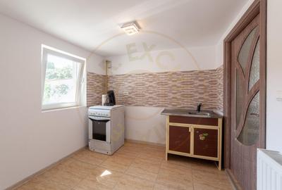 Casa Prelungirea Micsunele, Pitesti, Bascov - 18