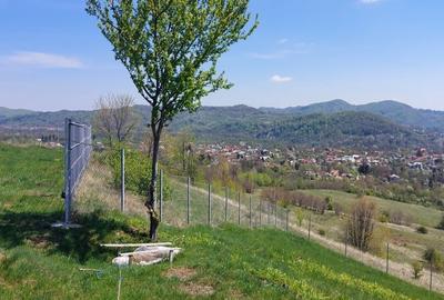 Teren Campina varful Muscel - 12