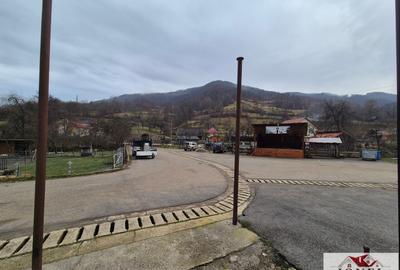 Casa de vanzare in Zlatna-Trimpoiele - 6