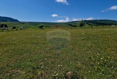 Teren 5,000mp Piatra-Neamt / Strada Punct Petruca