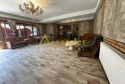 Brancoveanu-Nitu Vasile | Casa Individuala- D+P+1+M - 1