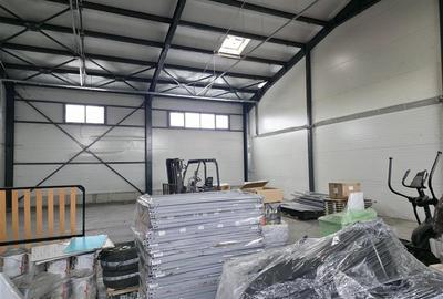 Vanzare depozit/hala/spatiu industrial Theodor Pallady - Drumul Intre Tarlale - - 14