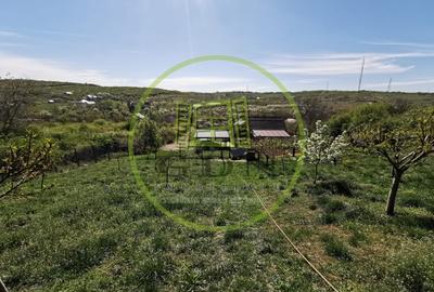 Teren intravilan si extravilan cu anexa gospodareasca amenajata, cu utilitati - 5