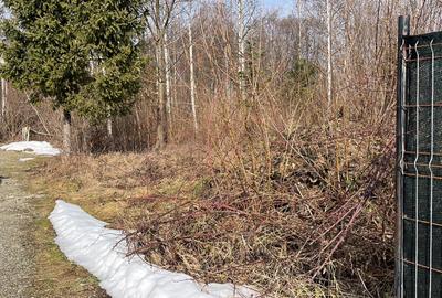 TEREN INTRAVILAN! 744 mp de vanzare pe Valea Avrigului - 1