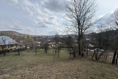 Teren 6040 mp la baza pădurii deschidere 40 ml - 2