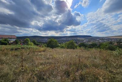 Teren Construcții intravilan de 2030 mp, în Chinteni